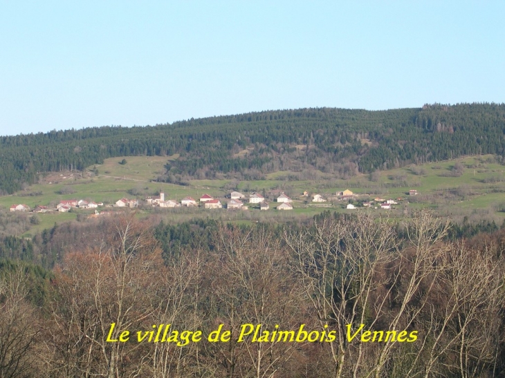 Le village vu de La Sommette - Plaimbois-Vennes
