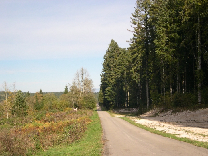 Route forestière  - Villeneuve-d'Amont