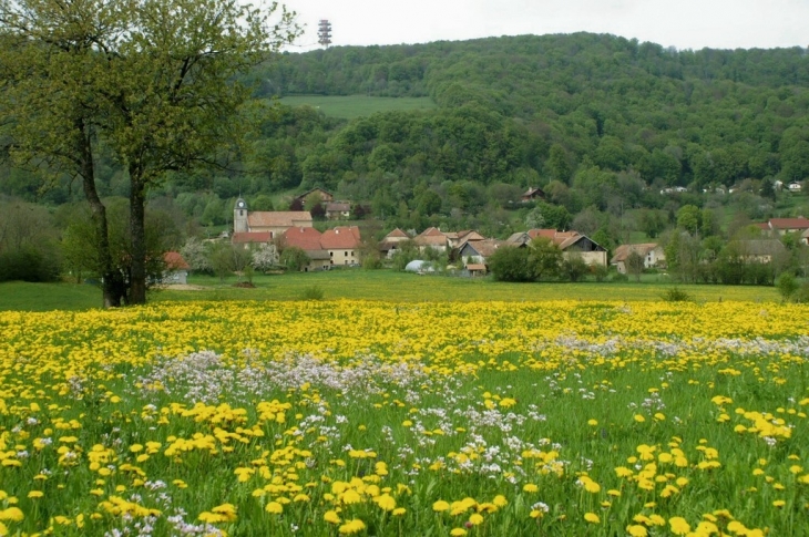 Vue de Vyt lès Belvoir - Vyt-lès-Belvoir