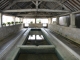 lavoir de delain