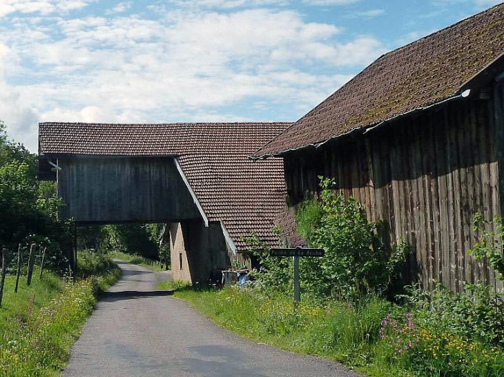 Ferme au dessus de la route - La Rosière