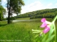 Photo suivante de Preigney Lac de Preigney