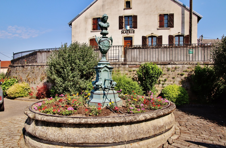 Fontaine - Vougécourt