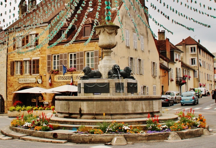 Fontaine - Arbois
