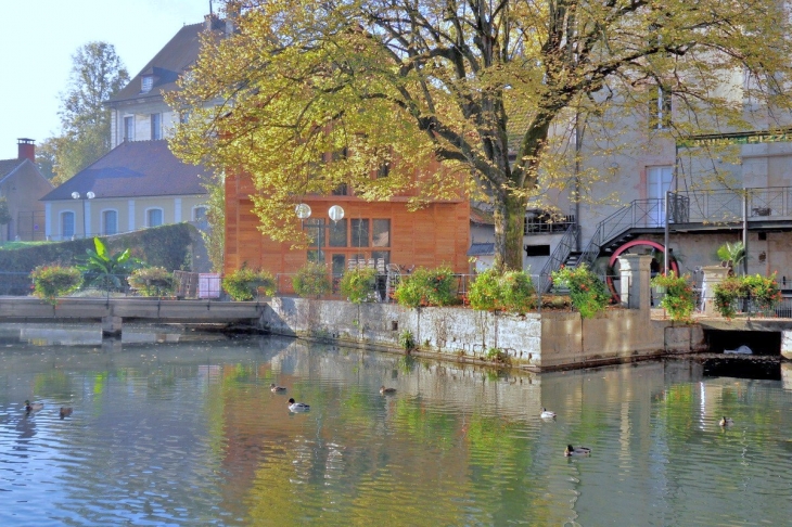 Dole.Jura.canal des tanneurs,octobre 2011