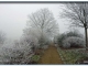 ARBORETUM Sous le givre