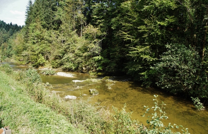Ruisseau de Pillemoine - Le Vaudioux