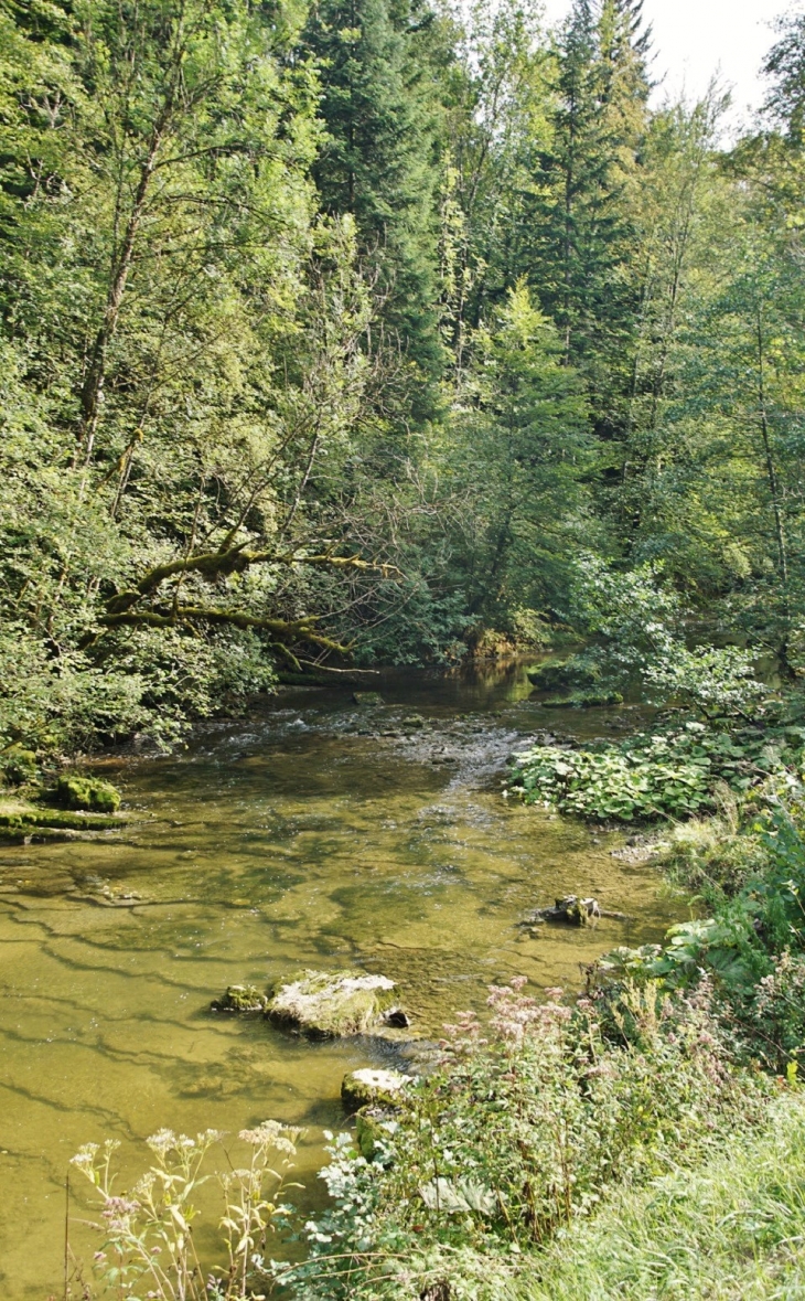 Ruisseau de Pillemoine - Le Vaudioux
