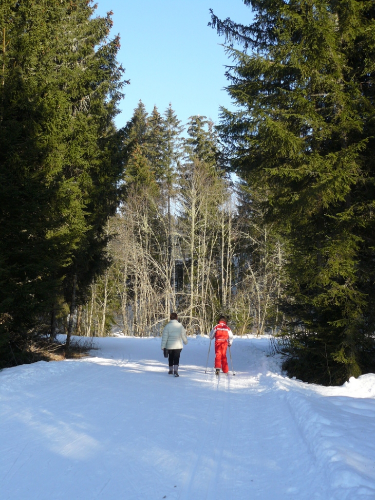 Piste de ski de fond - Les Moussières