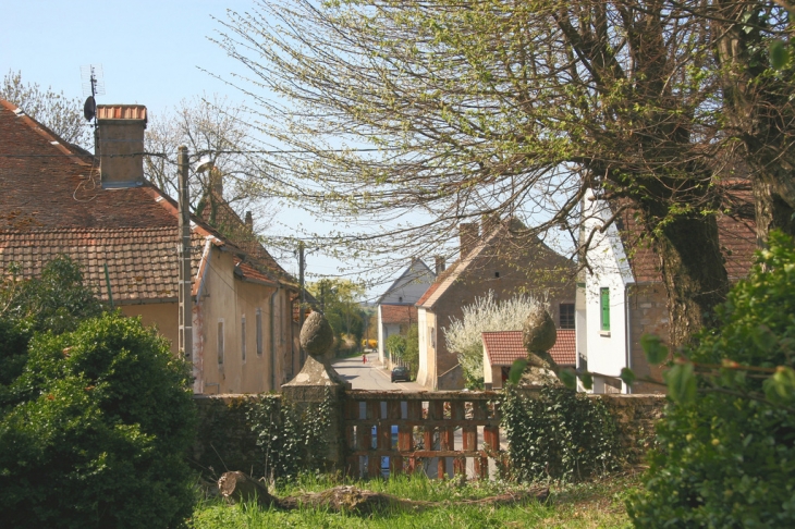 Grande Rue, vue d'une parc privé - Montmirey-le-Château
