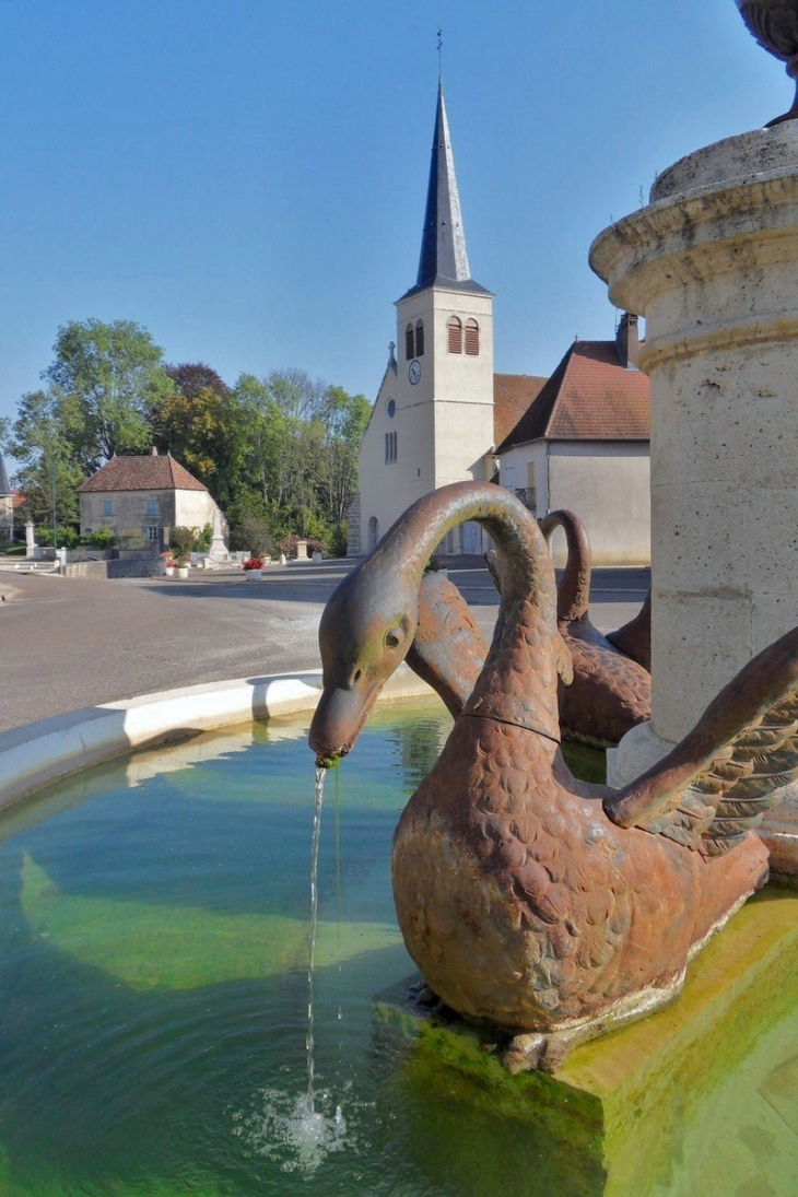 Fontaine aux cygnes. - Thervay