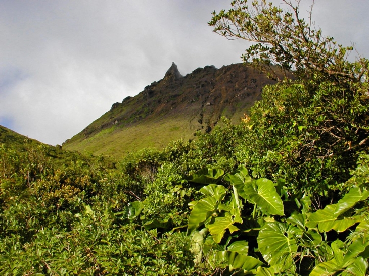 Le volcan de la Soufrière de Guadeloupe. Le sommet de la Soufrière, volcan actif, culmine à une altitude de 1467 m. C’est le plus haut sommet de la Guadeloupe et de toutes les Petites Antilles. - Saint-Claude