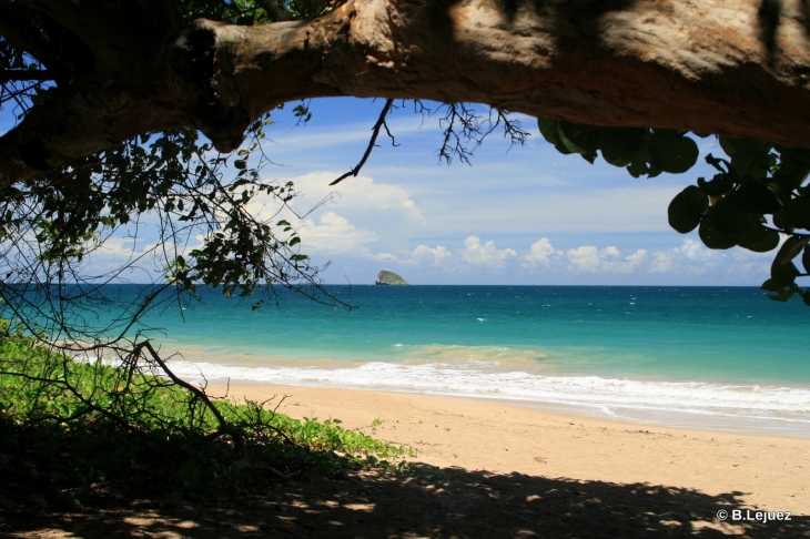 Plage de Clugny - Sainte-Rose