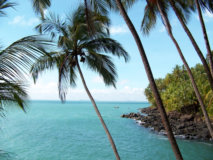 Iles du Salut (St Joseph) - Cayenne