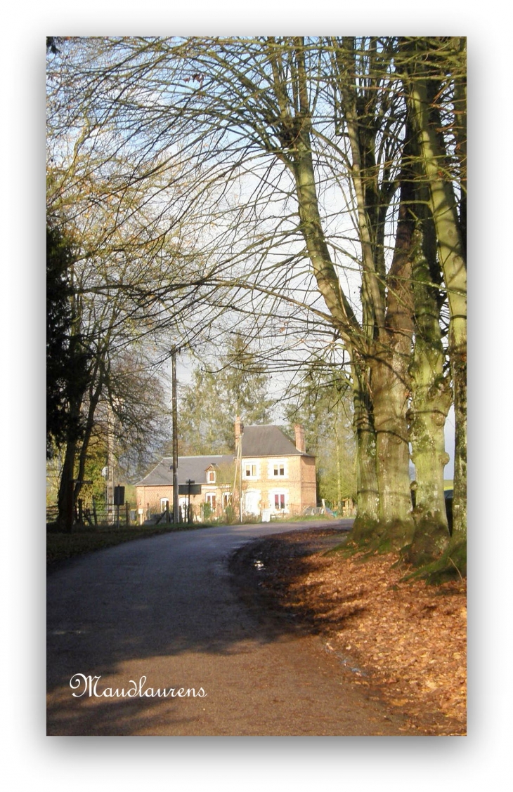 La route de l'Eglise de Bosc Regnoult en Roumois - Bosc-Renoult-en-Roumois