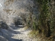 Photo suivante de Bosc-Renoult-en-Roumois Chemin en hiver à Bosc Regnoult en Roumois