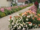 Photo précédente de Breteuil Que de belles fleures !!! Bravo au personnel de la ville de Breteuil