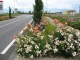 Photo suivante de Breteuil Breteuil vous accueille, les bras chargée de fleurs. Bravo !