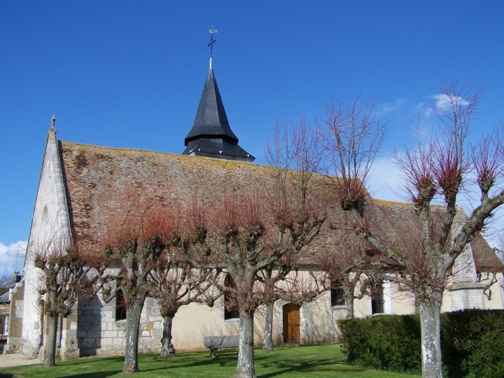 église SAint-Pierre - Canappeville