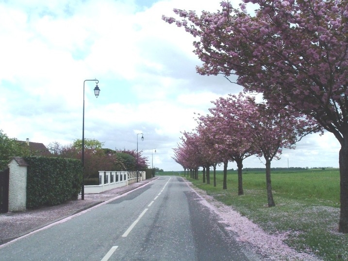 Route de Planterose - Claville