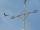 Photo précédente de Courdemanche Un oiseau sur la Croix et un oiseau dans le ciel... !
