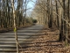 route des sapins au Mesnil-Milon
