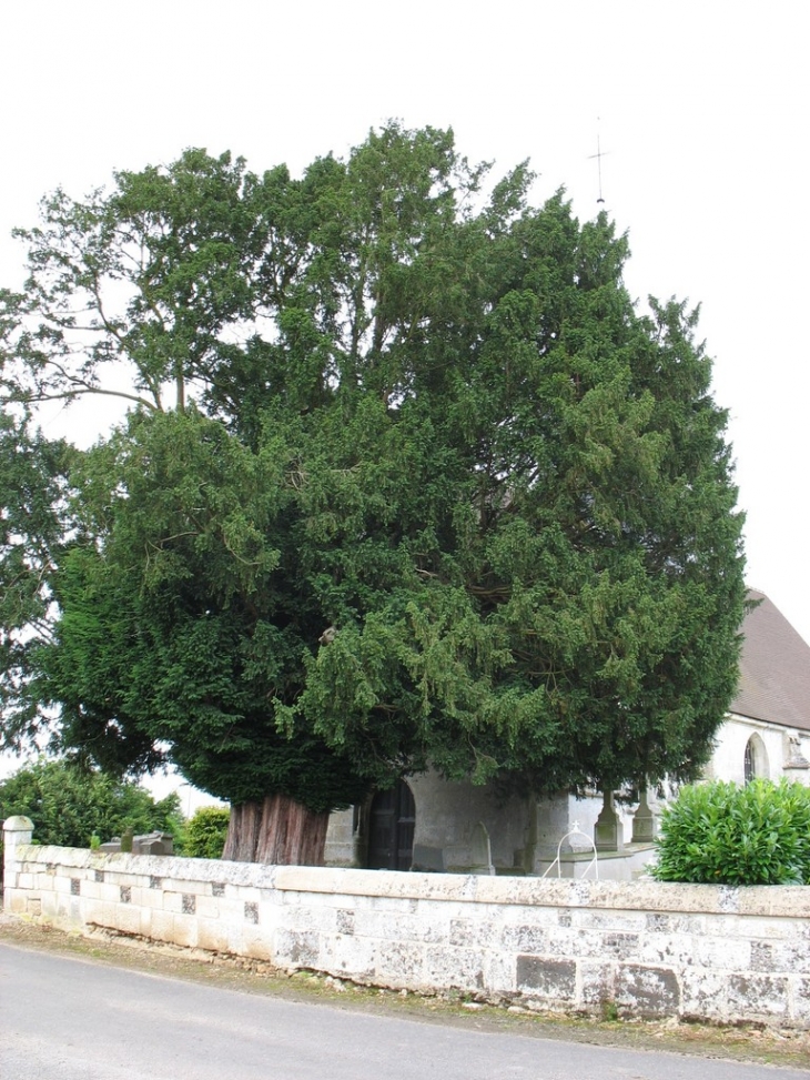 If devant l'entrée de l'église Saint-Aubin de La Puthenaye - Romilly-la-Puthenaye