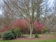 Photo suivante de Beaumont-le-Hareng Le jardin de Bellevue.