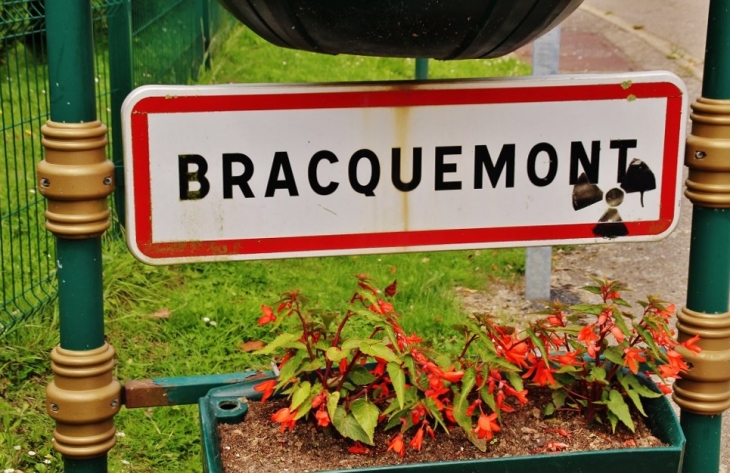  - Bracquemont