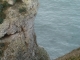 Photo suivante de Criel-sur-Mer sur les falaises