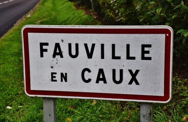  - Fauville-en-Caux