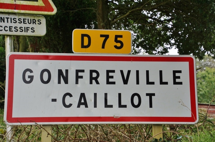  - Gonfreville-Caillot