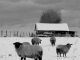 Photo précédente de Greny Greny sous la neige