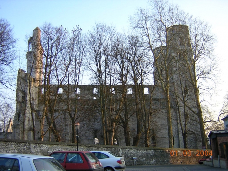 Abbaye Notre Dame - côté nord - Jumièges