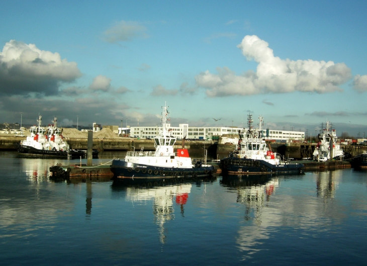 Cailles - Le Havre