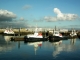 Photo suivante de Le Havre Cailles