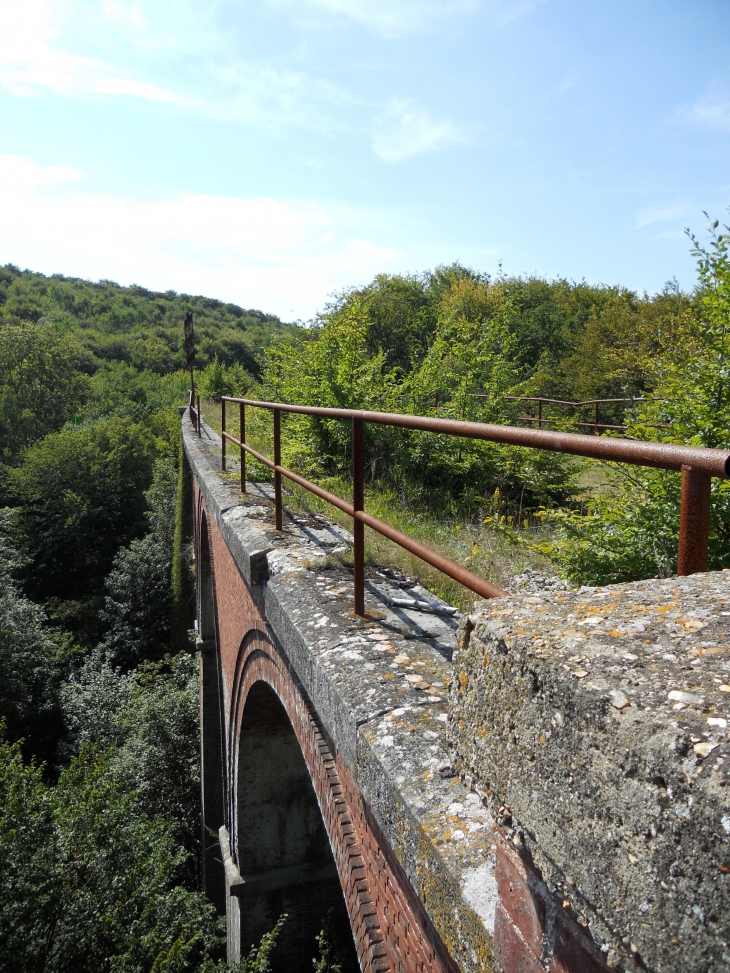Ancien viaduc de chemin de fer abandonné des 17 piles - Moulineaux