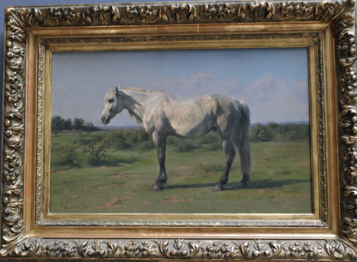 Musée des Beaux Arts : 19e siècle Rosa BONHEUR Cheval blanc dans un pré - Rouen