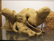 Photo suivante de Rouen musée d'Histoire de la Médecine : l'accouchement
