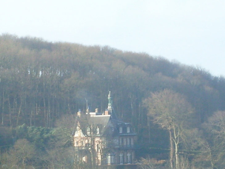 LES PETITES DALLES - Saint-Martin-aux-Buneaux