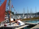 Photo suivante de Saint-Valery-en-Caux Le port - fête de la Mer
