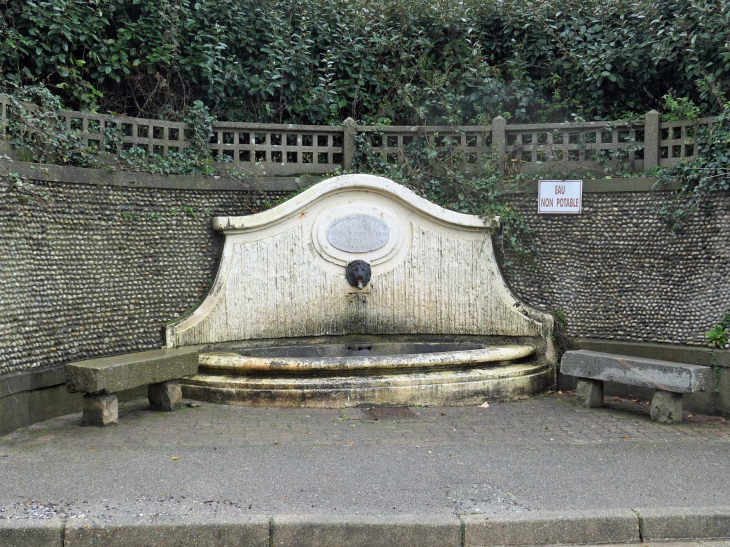 Les Grandes Dalles : la fontaine - Sassetot-le-Mauconduit
