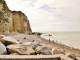 Photo précédente de Varengeville-sur-Mer La Mer