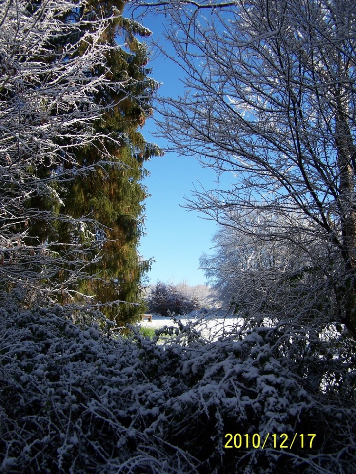 NEIGE EN FORET DE BROTONNE - Vatteville-la-Rue