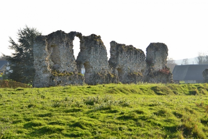 Les vestiges du château du Quesnay dit des comtes de Meulan, ou vieux château: motte, basse cour et fossés adjacents.  - Vatteville-la-Rue