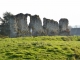 Les vestiges du château du Quesnay dit des comtes de Meulan, ou vieux château: motte, basse cour et fossés adjacents. 