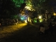 Photo suivante de Yvetot Illumination du parc de 