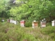 Photo précédente de Auvers-Saint-Georges L'apiculture
