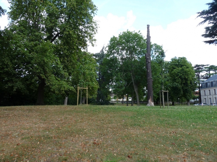 Le parc derrière la mairie - Épinay-sur-Orge
