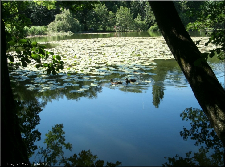 L'étang de Saint Cucufa - Rueil-Malmaison